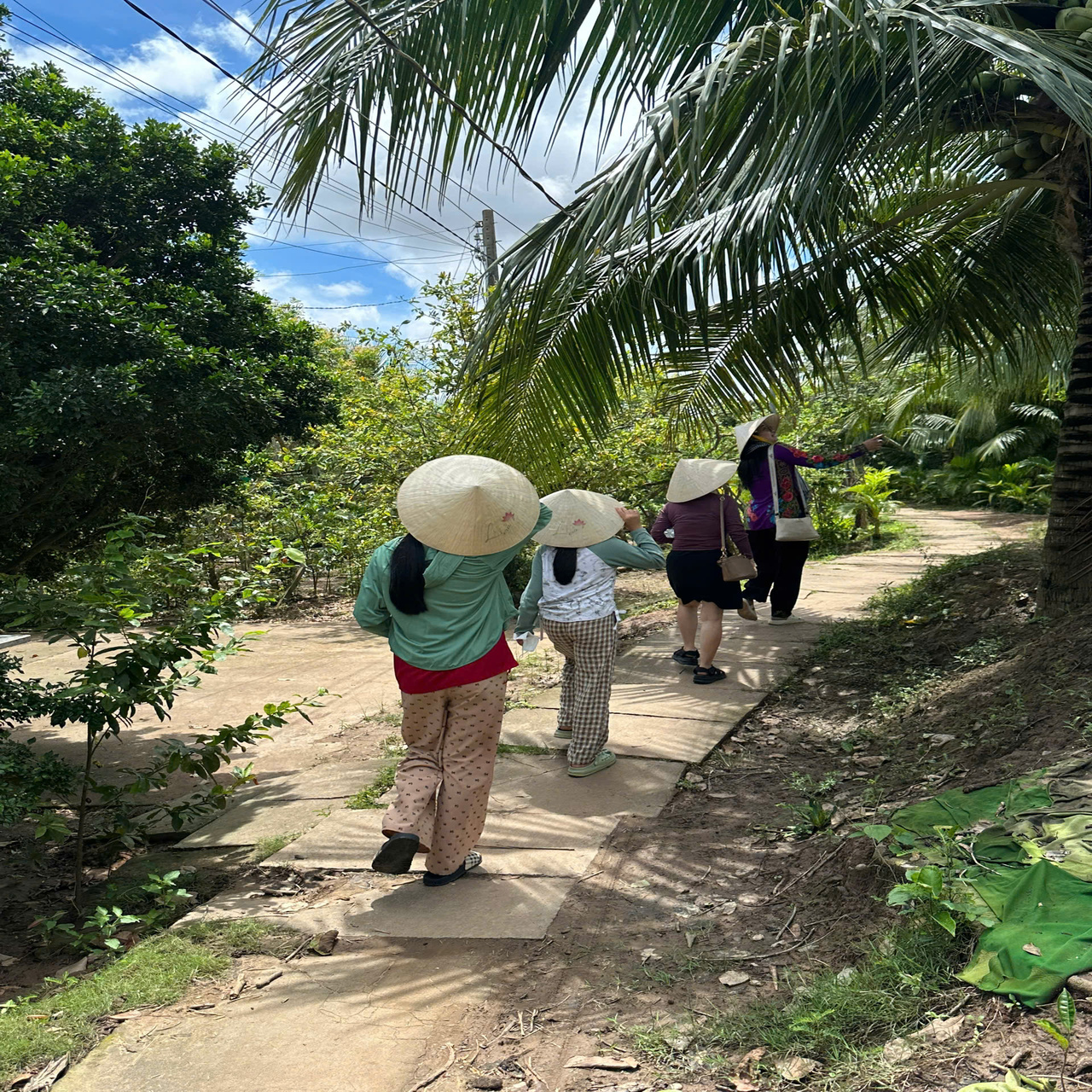 Cu Lao Qui Island Tour: Authentic Mekong River Cruise from Ho Chi Minh City.