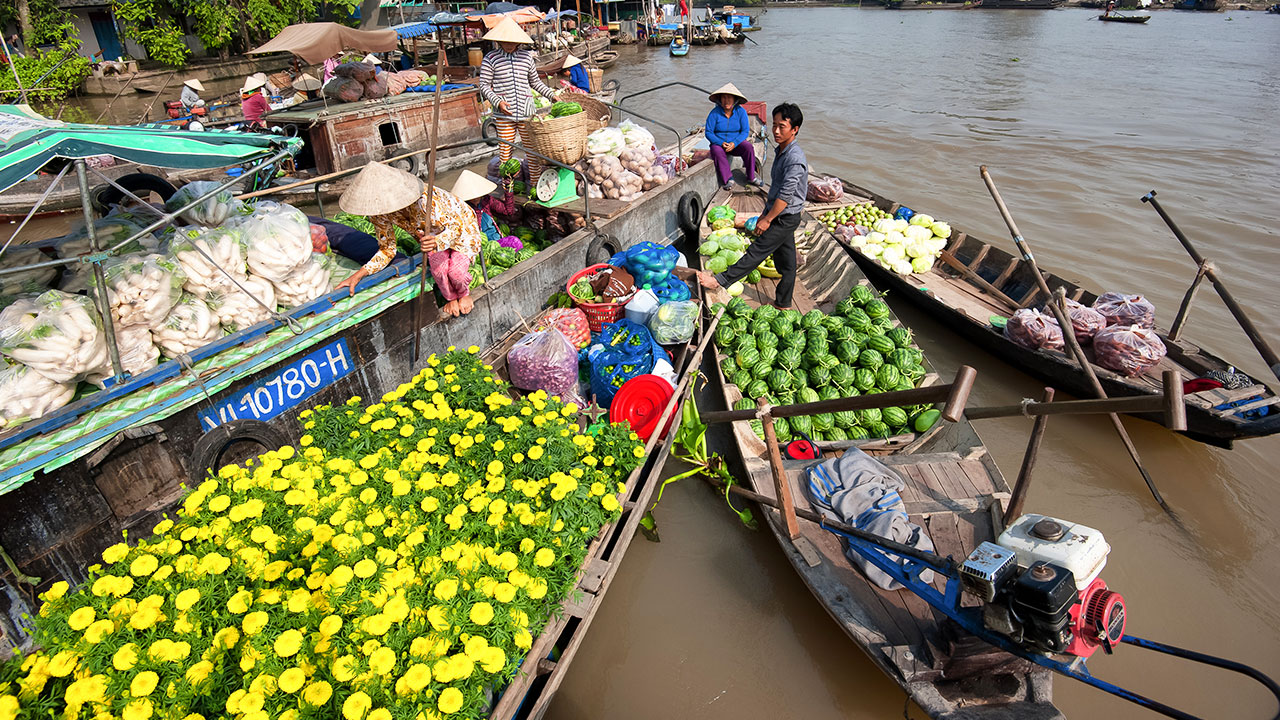 Most Attractive in Mekong Delta