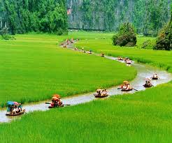 Day 04: HA NOI - NINH BINH - HA LONG (B/L/D)