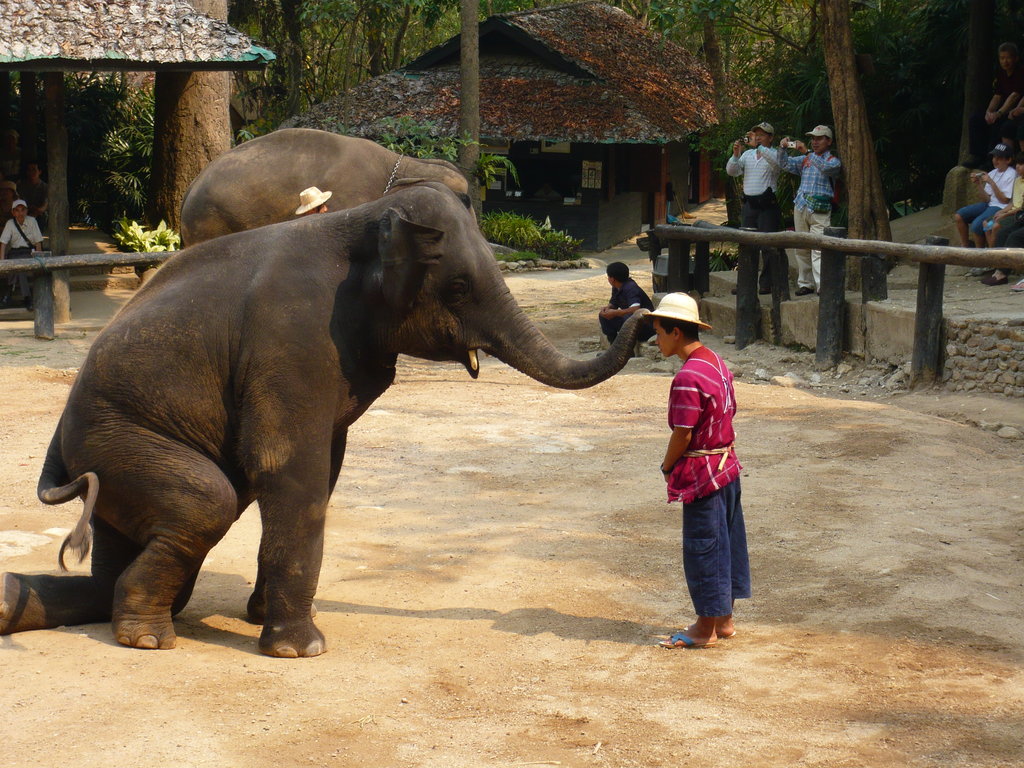 Day 08: LUANG PRABANG (B/L/D)